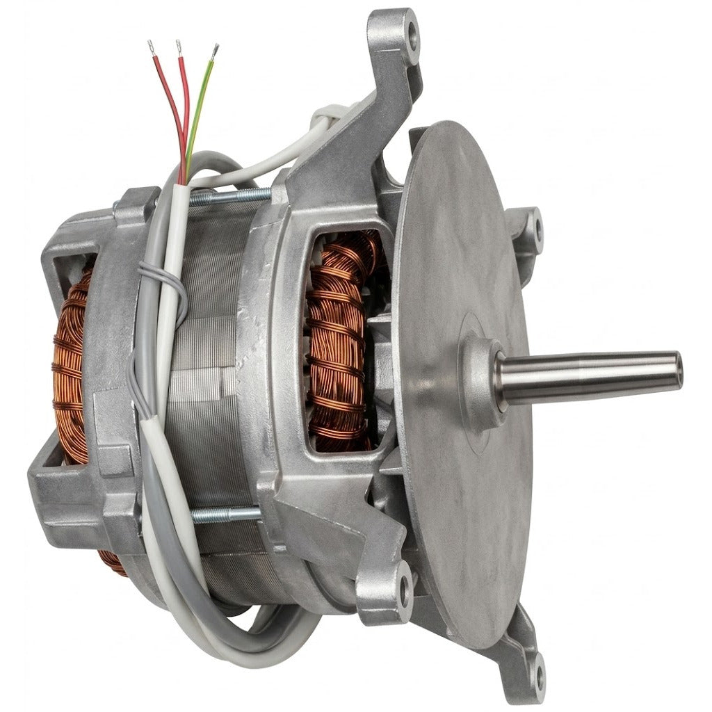 Motore trifase V3A145 230 V 50 Hz HOUNO 30700015