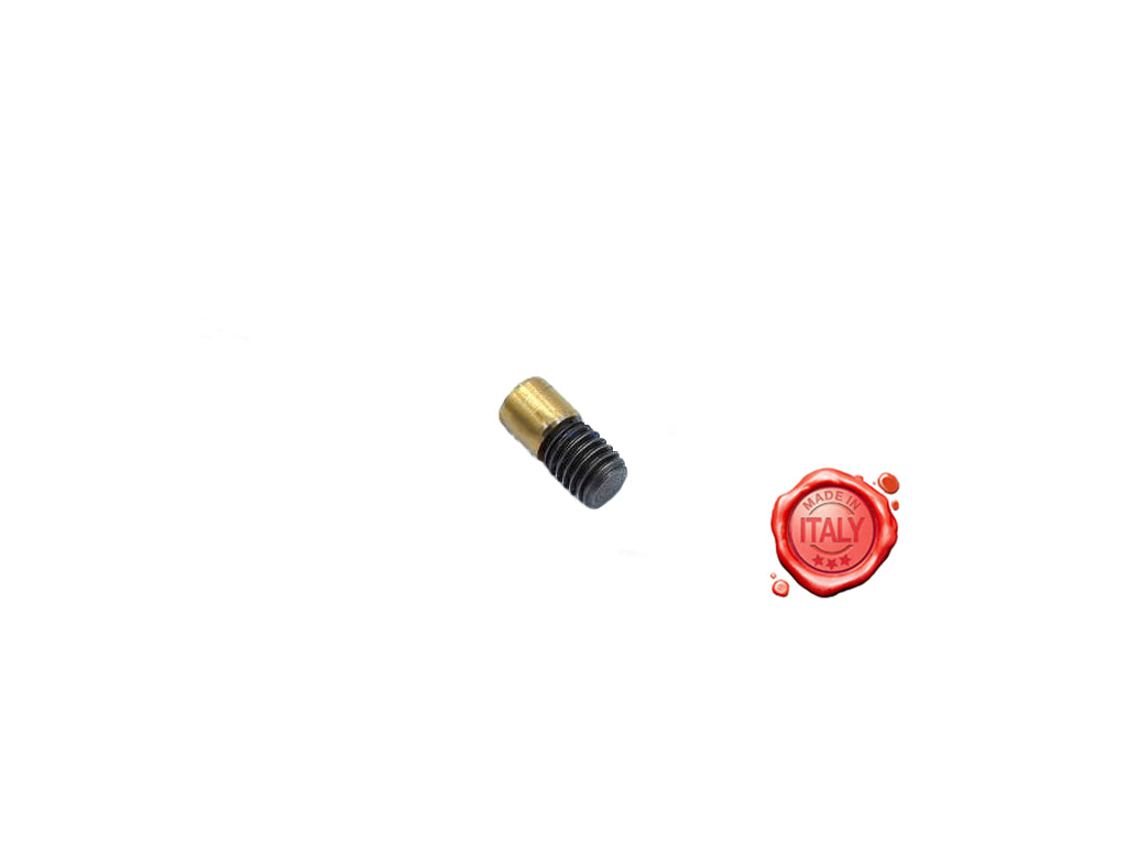 PERNO CON ROTELLA PER ECCENTRICO CEG MOD.B CEG MOD.BF 350 - Meat Slicer spare part - 4KitchensParts
