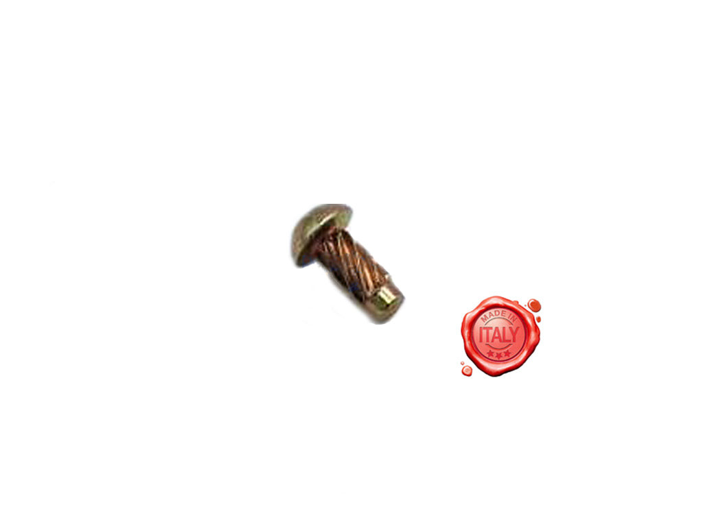 PERNO RIVETTO 4X8 PER GUIDA PLEXIGLAS OMAS OMAS MOD.H-L-C - Meat Slicer spare part - 4KitchensParts