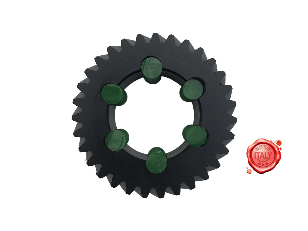 INGRANAGGIO NYLON CON PARASTRAPPO 31 DENTI ABO REGINA - Meat Slicer spare part - 4KitchensParts