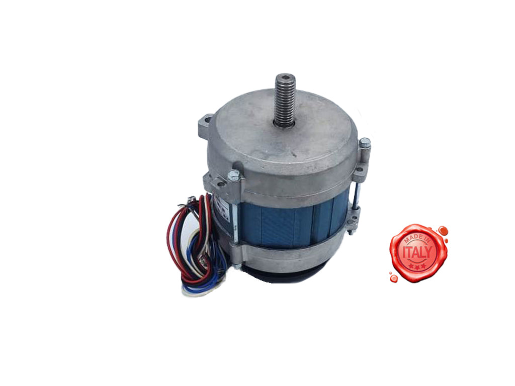 MOTORE TRIFASE IRONWEED MOD.350/370 I-V IRONWEED MOD.350/370 I-V - Meat Slicer spare part - 4KitchensParts