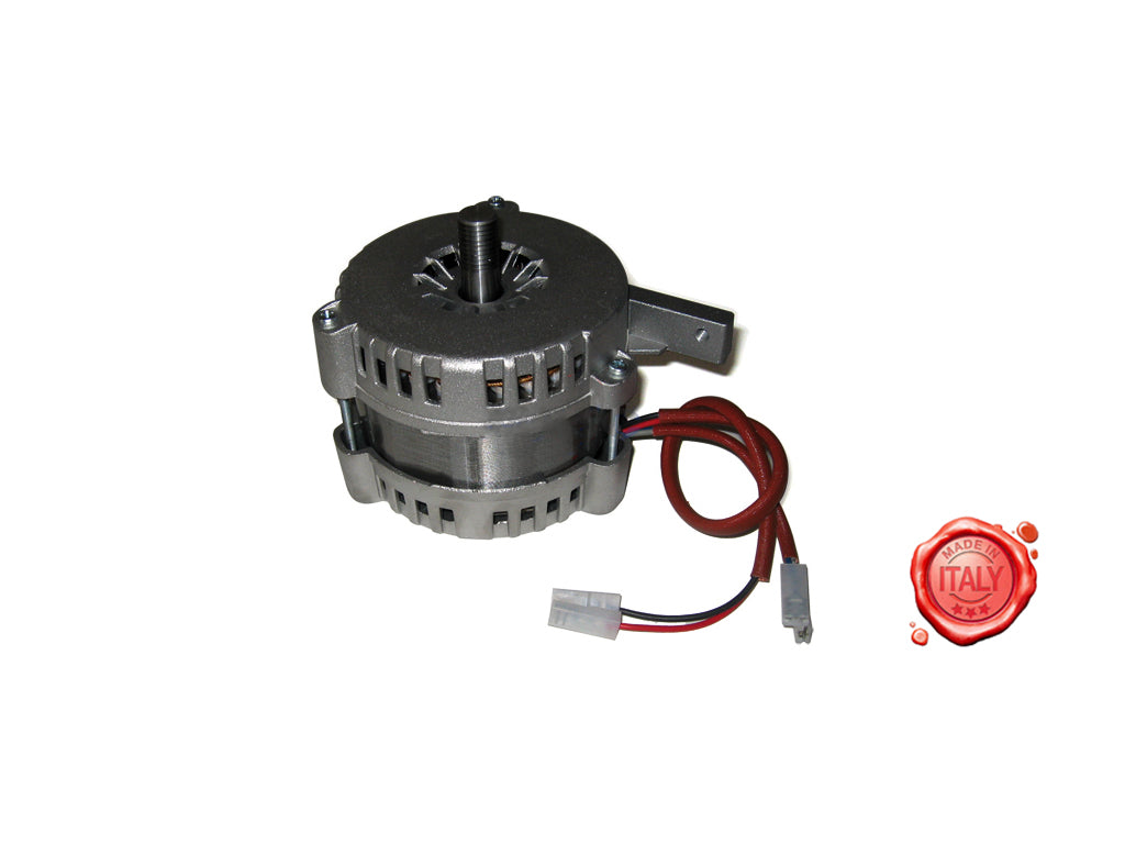 MOTORE 220V PACCO 40 RGV MOD.250-ABO MOD. RGV MOD. 250 ABO MOD. 25 - Meat Slicer spare part - 4KitchensParts