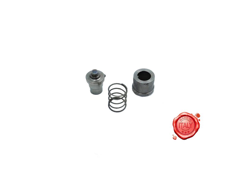 KIT COMPLETO PER BLOCCAGGIO CARRELLO RGV 3 RGV MOD.300 - Meat Slicer spare part - 4KitchensParts