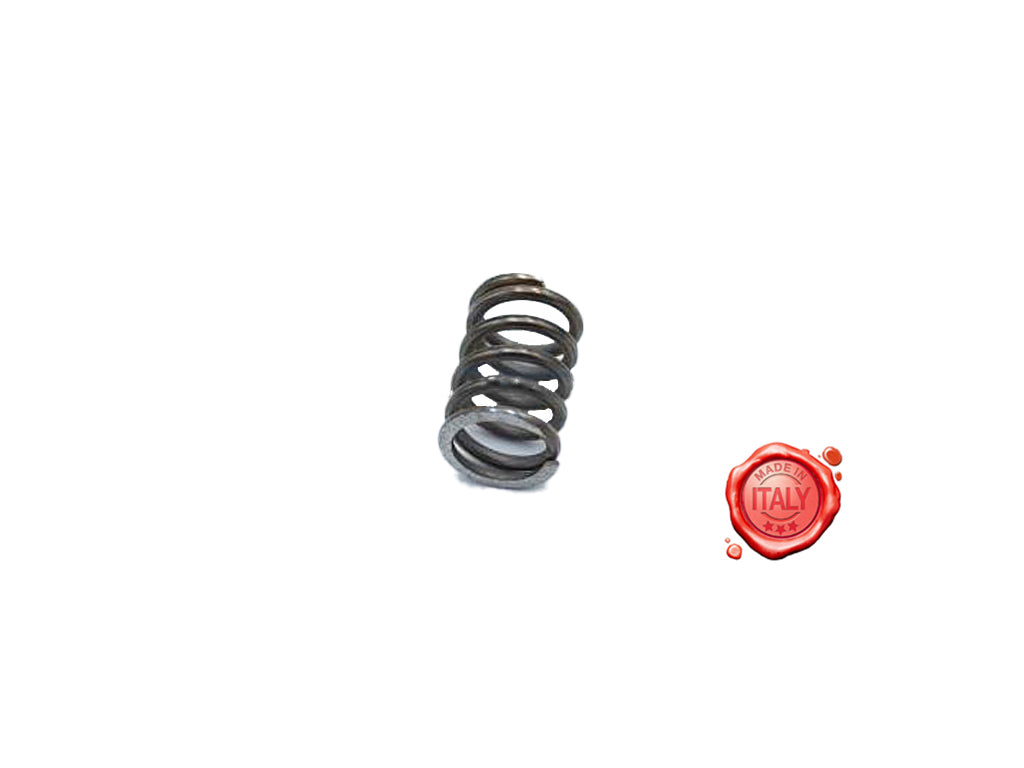 MOLLA PER MANOPOLA TC NG KOLOSSAL KOLOSSAL 350 TC - Meat Slicer spare part - 4KitchensParts