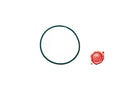 CINGHIA TONDA VERDE PER RIAVVOLGITORE OMEGA MOD.FREESTYLE - 4KP-M-BI-CIN-00006 - 4KitchensParts