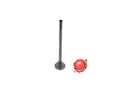 IMBUTO INOX FORO 10 PER INSACCATRICE AMB compatibile con AMB MOD. RL 6.5/15 - IMB3MAV0134 - 4KP-M-IN-IMB-00001 - 4KitchensParts