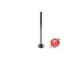 IMBUTO INOX PER INSACCATRICE TRE SPADE FORO 12MM compatibile con TRE SPADE MOD. KG 3/5/7/10/15 DELUXE - IMB3MAV0166 - 4KP-M-IN-IMB-00005 - 4KitchensParts