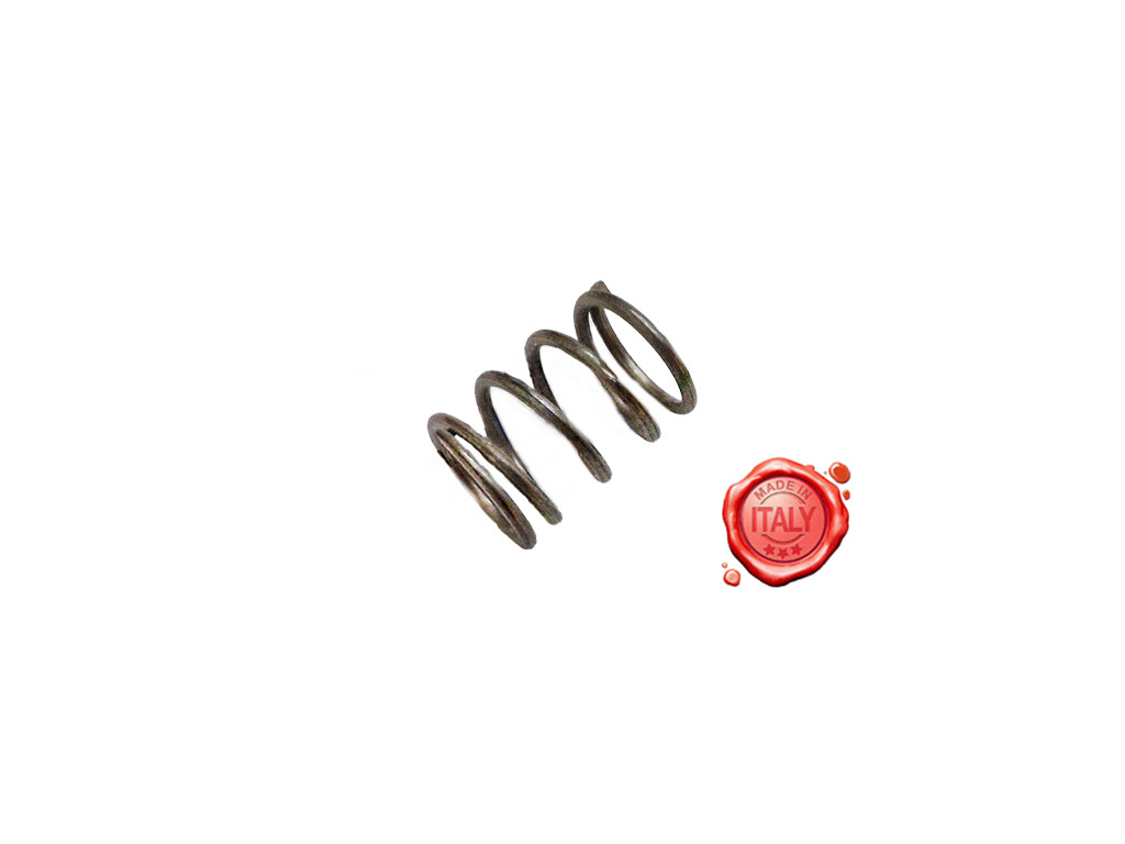 MOLLA PER COCLEA SPREMIPOMODORO MOD.SPREMI - Commercial Kitchen Equipment spare part - 4KitchensParts