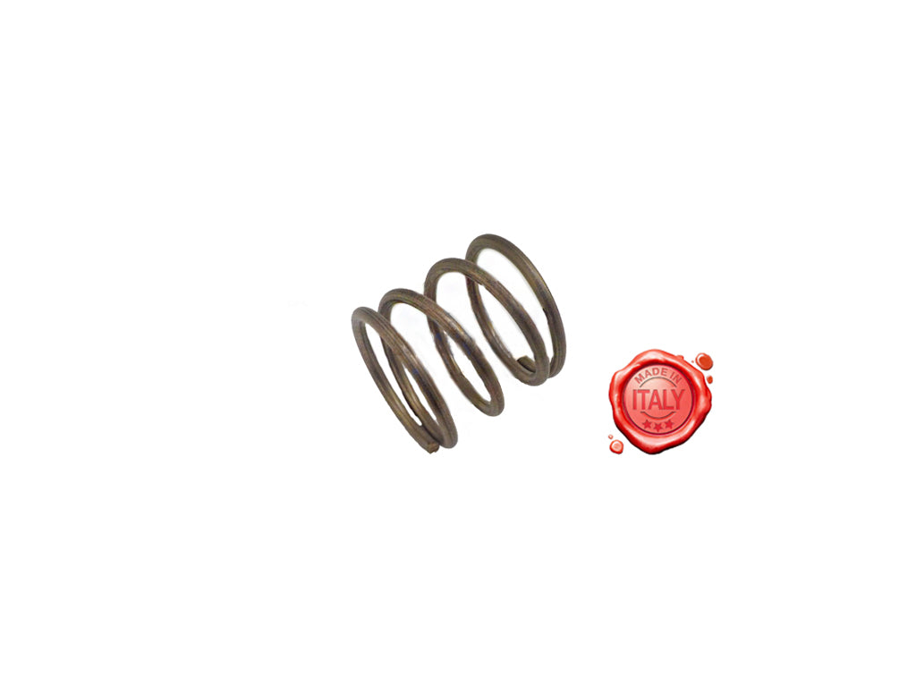 MOLLA PER COCLEA SPREMIPOMODORO MOD.BIG - Commercial Kitchen Equipment spare part - 4KitchensParts