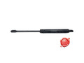 MOLLA A GAS COD. 15787-0300N SOTTOVUOTO BERKEL- INDEX MOD. EVO 410 - 4KP-M-RV-SOT-00119