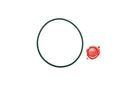 CINGHIA LUNGA 8X900 PER STENDIPIZZA IGF MO - Commercial Kitchen Equipment spare part - 4KitchensParts