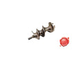Coclea tritacarne COC3EVE0014 - 4KP-M-TR-COC-00011