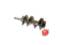 Coclea tritacarne COC3FIM0009 - 4KP-M-TR-COC-00029