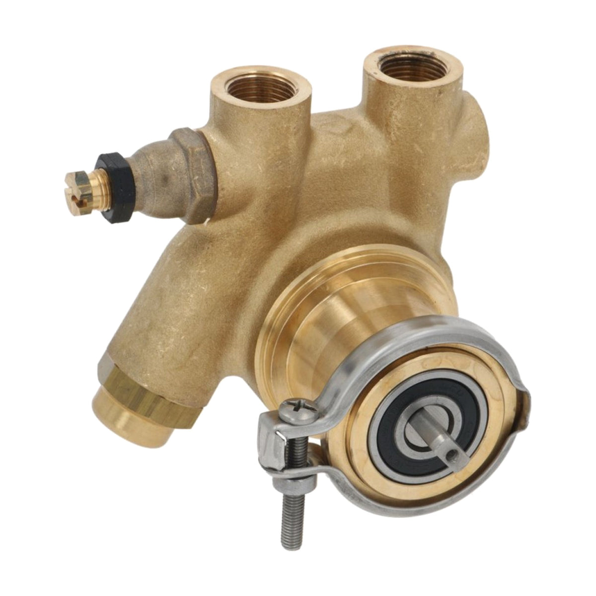 Pompa volumetrica 70 l/h in ottone compatibile con RENEKA VIVA